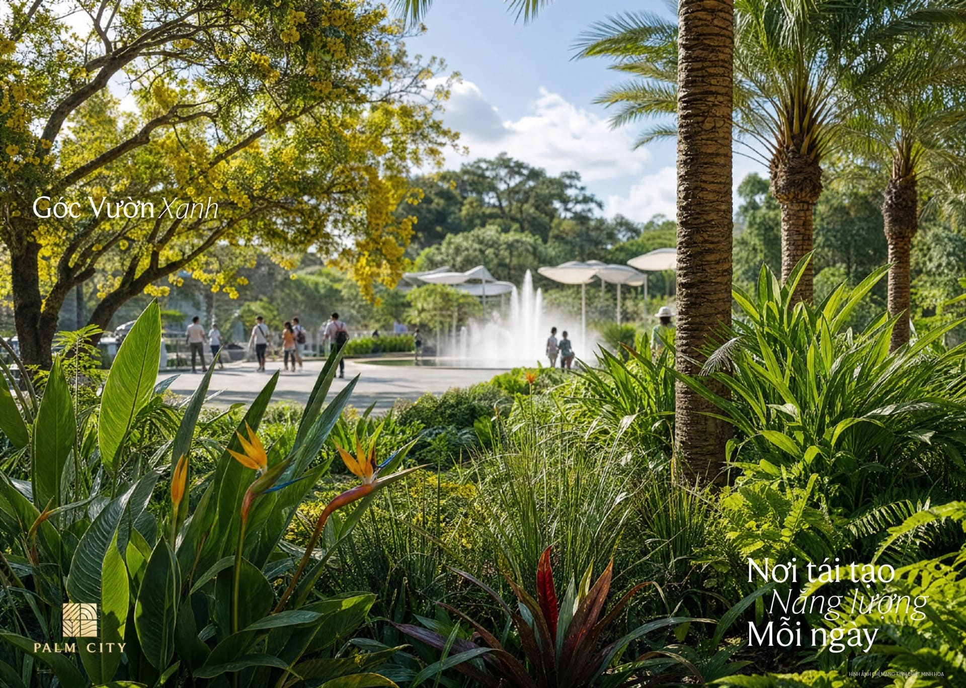 Góc vườn xanh nội khu Palm City